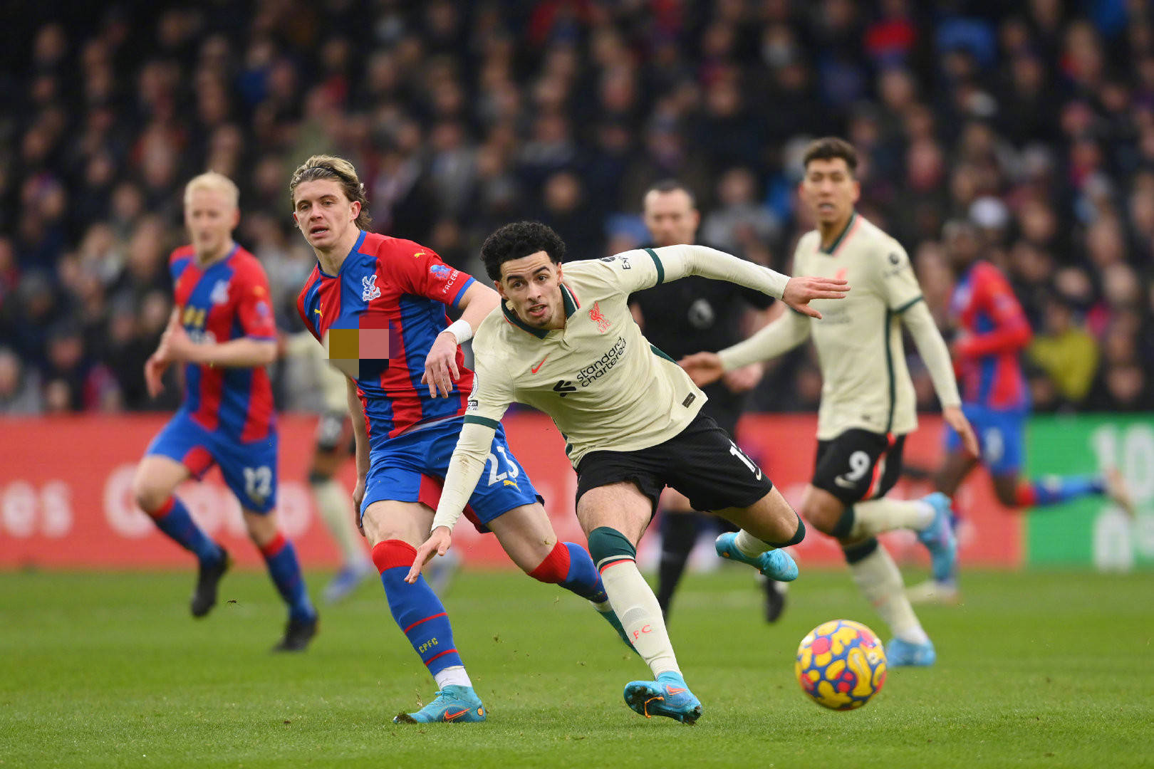 完美礼赞 完美礼赞